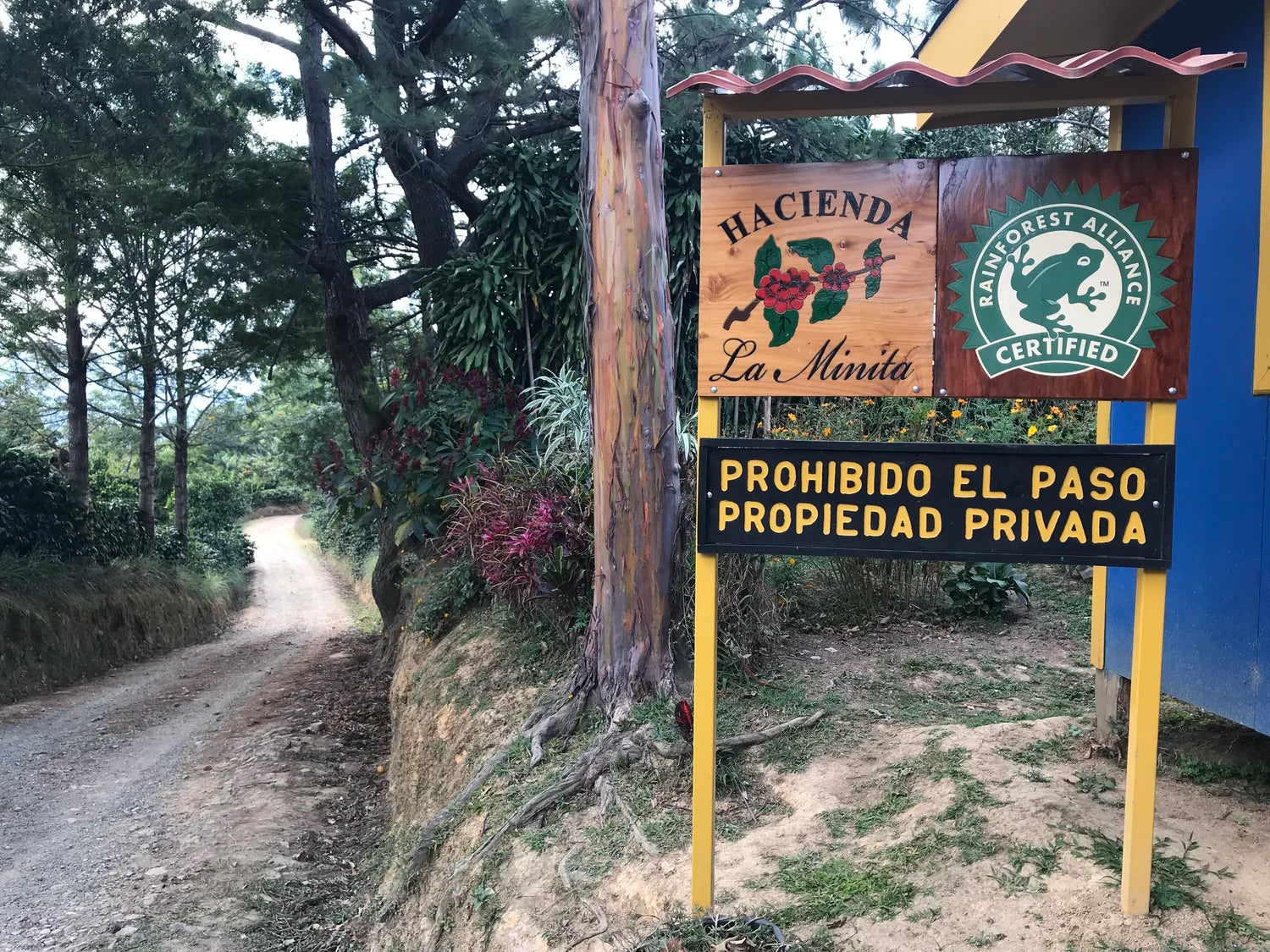 Costa Rica La Minita — Certified Organic (12 oz)