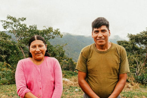 Bolivia Organic La Paz